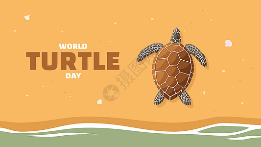 海龟产卵 世界海龟日图片