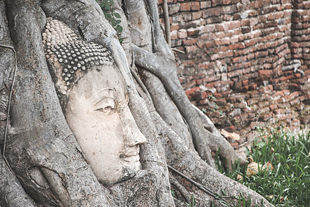 被困在博迪树根的佛头雕像旅游王国假期寺庙遗产公园旅行宗教历史建筑图片