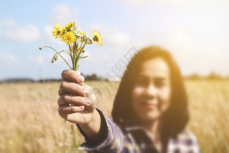 快乐女人在阳光明媚的草原上给黄花 蓝天草地喜悦蓝色女士女性场地自由女孩太阳幸福图片