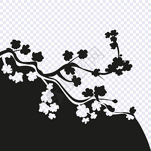 樱花黑白绘画以透明背景为标准 樱桃枝和花朵 插图图片