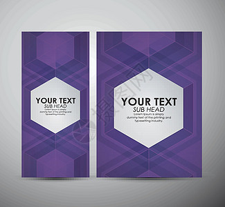 六边形抽象数字背景 商业设计手册宣传册白色艺术马赛克网络几何学技术几何插图创造力图片