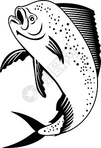 或Mahimahi 跳上黑白复古动物插图艺术品珊瑚科野生动物鲇鱼鲳鱼海洋生物黑与白图片