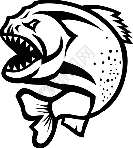 愤怒的Piranha 跳上孤立的黑人和白人卡通片食人鱼腹食标识体育品牌淡水人鱼艺术品身份图片