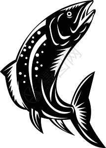 黑白两极现场游虎鱼跳跃打印蚀刻插图木块雕刻艺术品油毡黑与白鳟鱼模版图片