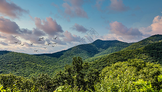 蓝脊山山丘绿山图片