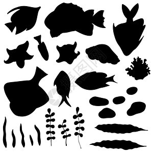 一组孤立的黑鱼 海草 贝壳和白色背景的石块背影图片