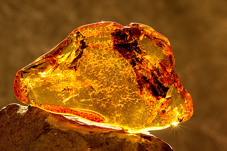太阳中的琥珀 与包含各种物的膜罩珠宝化石晴天药物挖掘宏观岩石材料树脂生物学图片