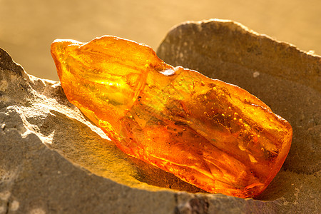 太阳中的琥珀 与包含各种物的膜罩药物化石晴天挖掘生物学树脂岩石橙子材料石头图片