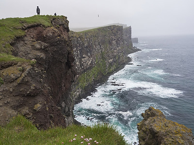 美丽的悬崖 欧洲最大的鸟悬崖 数百万鸟类的家园 两个人站在悬崖上 海浪和粉红色的花朵 冰岛西部峡湾 有选择的焦点图片