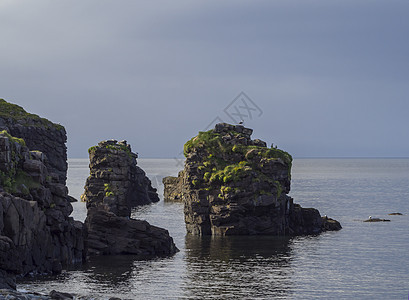 大西洋中的大鸟悬崖岩石 有海鸥和草 大海和蓝天背景 黄金时段的灯光 夏天在的自然保护区 冰岛西峡湾 复制空间图片