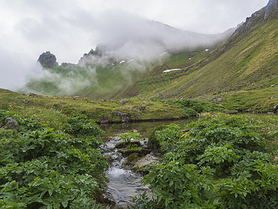 西峡湾美丽的国王和王后 Hornbjarg 悬崖的神秘景色 冰岛偏远的自然保护区 拥有郁郁葱葱的绿色迷雾草地 带苔藓和岩石的水流图片