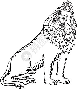 身穿蒂亚拉·埃廷黑白的狮子座图片
