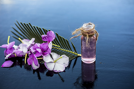 草药和植物精华 或由罗斯马林斯在木质表面的玻璃瓶中摘制出来的浓缩物 也称为玫瑰花枝条药品玻璃食物草本植物瓶子叶子香气芳香绿色图片