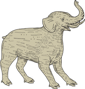 巴库侧边绘图野生动物动物獠牙生物画线象形条纹饲养艺术品貘样图片