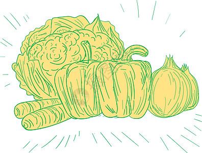 Brocolli 辣椒洋葱画画线食物萝卜刮板插图叶菜类辣椒草图洋葱艺术品图片
