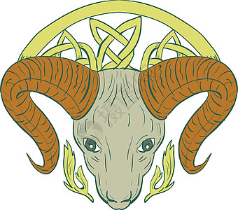 Ram Head 凯尔特诺辫子喇叭动物艺术品号角绳索插图艺术工作野生动物图片