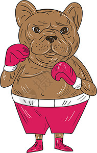 法国斗牛犬拳击手拳击站卡通图插图卡通片野生动物手套艺术品牛犬犬类拳击动物姿态图片