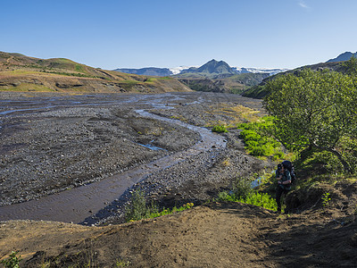 冰岛风景与蓝色河峡谷 粉红色的花朵 白桦树丛 绿色的山丘和火山冰川 洛加维格远足径 Fjallabak 自然保护区 冰岛 夏天的图片