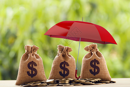 风险保护 财富管理和长期货币投资 金融概念 在红伞下安排硬币和美元袋 描述可持续增长的资产安全图片