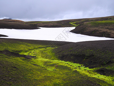 冰岛山的岩浆山丘 云天有明亮的红绿绿苔和雪舌图片