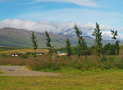 在冰岛山的绿营和小屋中弯曲在强风中图片