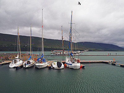 冰岛北部阿库雷里港的游艇图片