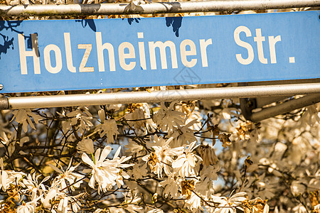 配有德国街牌的马格诺利亚花白色路标植物群街道蓝色花园植物学画幅季节花朵图片