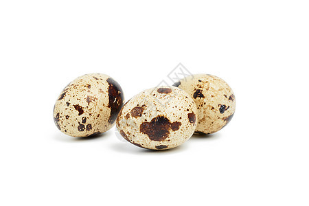 白底孤立的圆环原蛋美食早餐产品棕色营养椭圆形饮食蛋壳白色食物图片