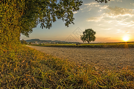 夏季日落 与德国的树太阳农业天空全景戏剧性阳光橙子乡村红色黑色图片