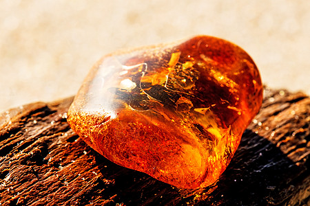 在波罗的海的海滩上安珀果汁宝石化石树脂岩石康复石头矿物橙子水晶背景图片