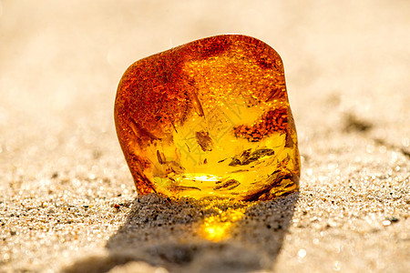 在波罗的海的海滩上安珀康复化石地质学矿物首饰果汁石头树脂橙子材料图片