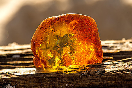 在波罗的海的海滩上安珀化石树脂宝石水晶石头矿物地质学宏观橙子首饰图片