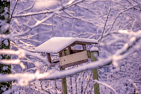 维牧歌树木雪帽白色衬套植物季节环境花园森林背景图片