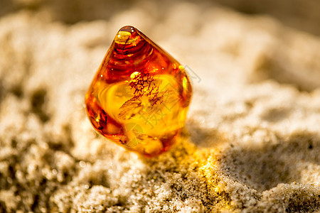 在波罗的海海滩的日光下安眠石头矿物晴天地质学化石礼物太阳宝石首饰挖掘背景图片