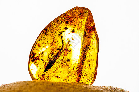 在波罗的海海滩的日光下安眠橙子宝石首饰地质学礼物康复装饰品黄油海滩宏观背景图片