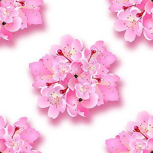 装饰樱花 花束 带阴影的设计元素 无缝的 可用于卡片 邀请函 海报 插图图片