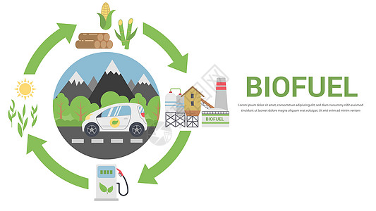 生物燃料生命周期气体生物质活力玉米木头车站工厂图表箭头沼气图片