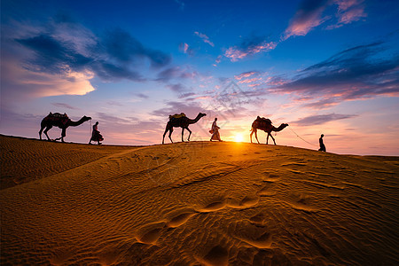 印度咖啡林骆驼驾驶员 日落时在沙丘配有骆驼双影带男人太阳旅游情调异国天空游客冒险沙漠爬坡图片