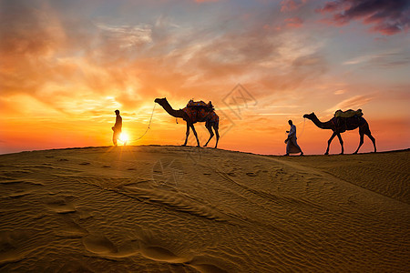 印度咖啡林骆驼驾驶员 日落时在沙丘配有骆驼双影带太阳晴天旅行异国阳光旅游情调沙漠冒险男人图片