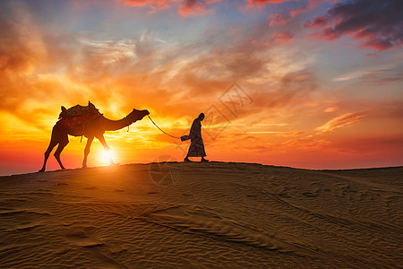 印度骆驼骑手在黄日夕阳沙丘带骆驼轮 印度拉贾斯坦邦Jaisalmer冒险异国男人天空旅行阳光太阳坦邦沙丘风景图片