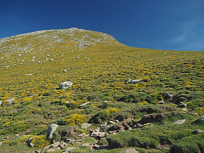 含岩石和蓝天空的绿山草地图片