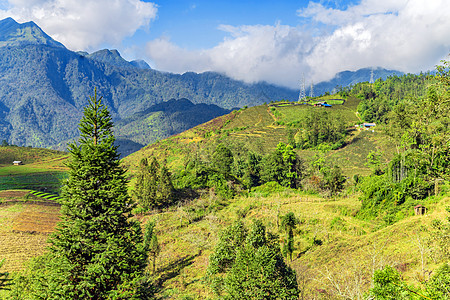 弯曲的露台SaPa 越南老挝土地农村场景悬崖旅行全景森林场地宽慰农业图片