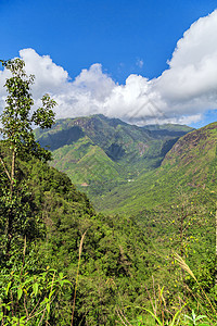 洛基山景色场地旅行收成种植园阳台农场食物农业农村植物图片