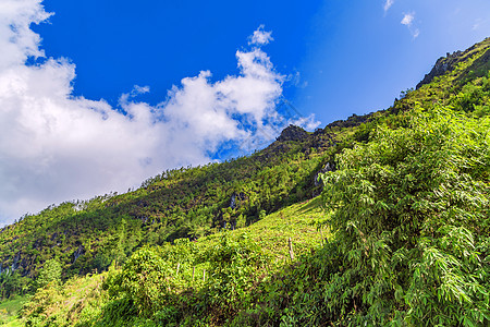 越南萨帕的青草蓝云 绿草蓝云公园高度季风天堂顶峰全景远足森林岩石冒险图片