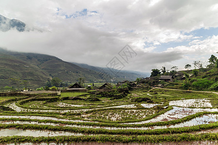 小麦作物田 风景区编队季节收成文化农业侵蚀阳台岩石山地农场图片