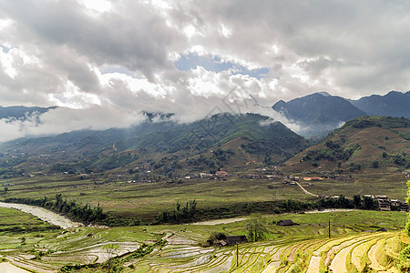 越南SAPA的稻田农业田村水稻梯田种植园栽培农田爬坡生长种子国家收成粮食季节图片