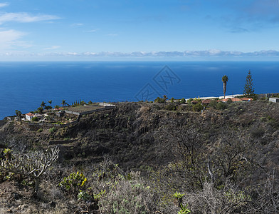 棕榈树 农庄和海平面的农村亚热带景观 蓝天背景 西班牙加那利群岛拉帕尔马图片