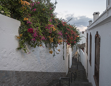 西班牙加那利群岛老城中心的街道上 空旷狭窄的街道 有straircase 白墙和多彩鲜花及传统房屋图片