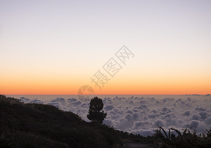 西班牙加那利岛La Palma山脉白云海覆盖面上日落后美丽的红光图片