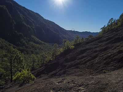 在西班牙加那利群岛拉帕尔马岛国家公园山的徒步通道上 火山岩熔岩田地景观和绿色松树林图片